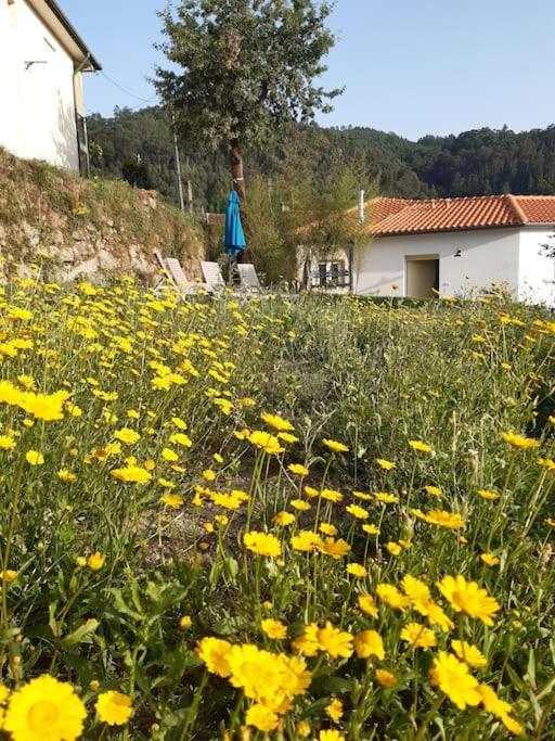 A Casa Com 2 Pereiras Acomodação com café da manhã Terras de Bouro Exterior foto