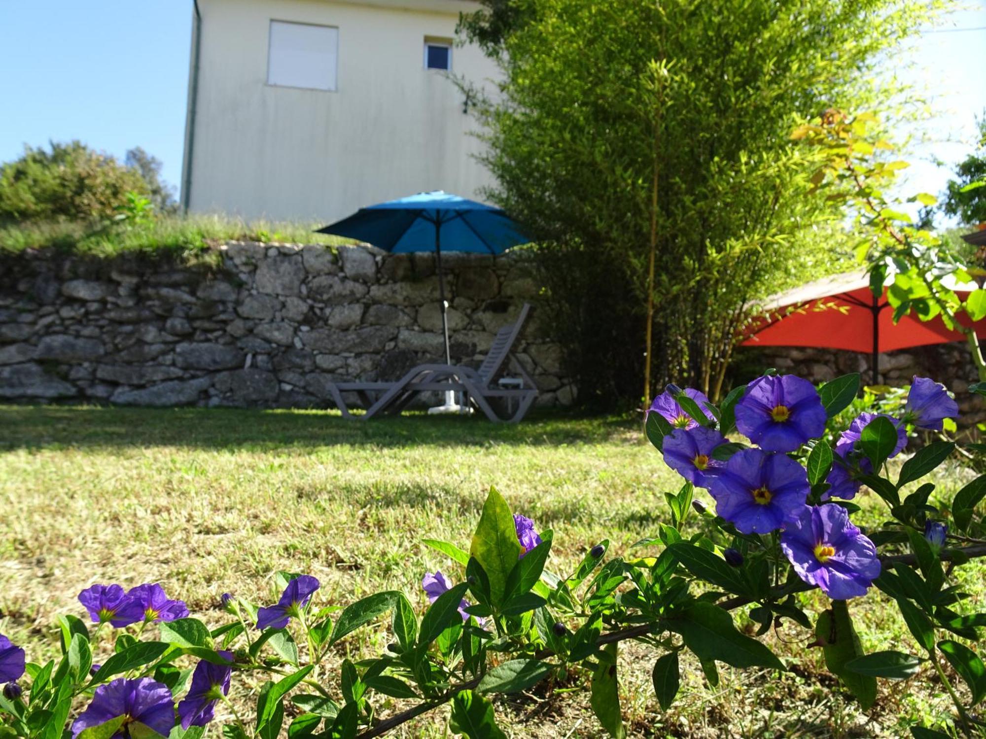A Casa Com 2 Pereiras Acomodação com café da manhã Terras de Bouro Exterior foto